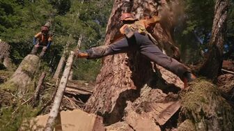 The Last Woodsmen S03E08 WEB H264-RBB