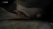 Black Death Patient Zero S01E01 HDTV H264-RBB