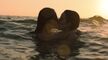 acapulco 2021 s04e01 1080p web h264-successfulcrab