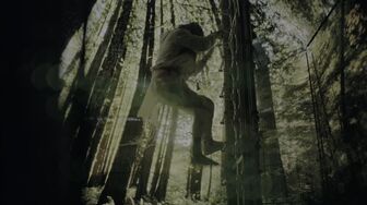 The City Of Crosses 2016 1080p WEBRip x264-YTS